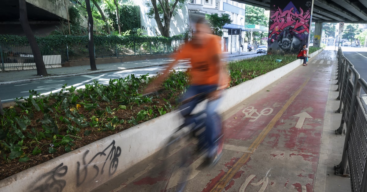 Licitação para reforma de ciclovias suspensa em SP