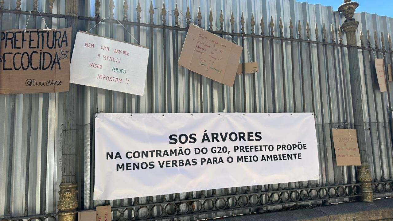 Remoção de árvores: prefeito recebe artistas e ambientalistas