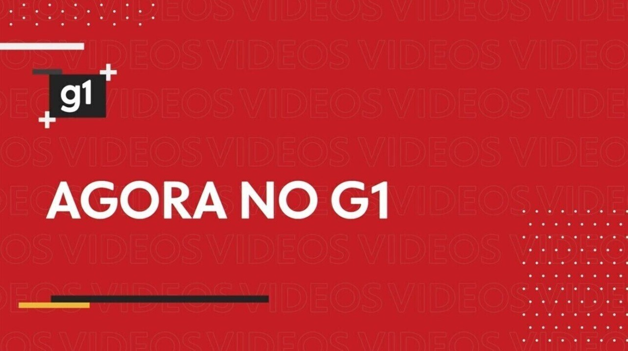 Prefeitura de BH pagará R$ 450 mil por transporte de girafas